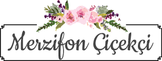 MERZİFON ONLİNE ÇİÇEKÇİ