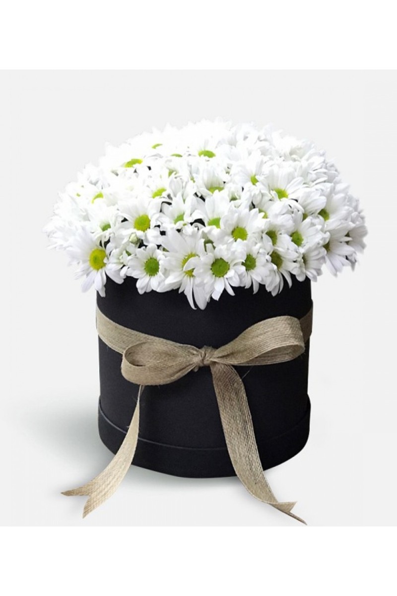 Siyah kutuda Papatya