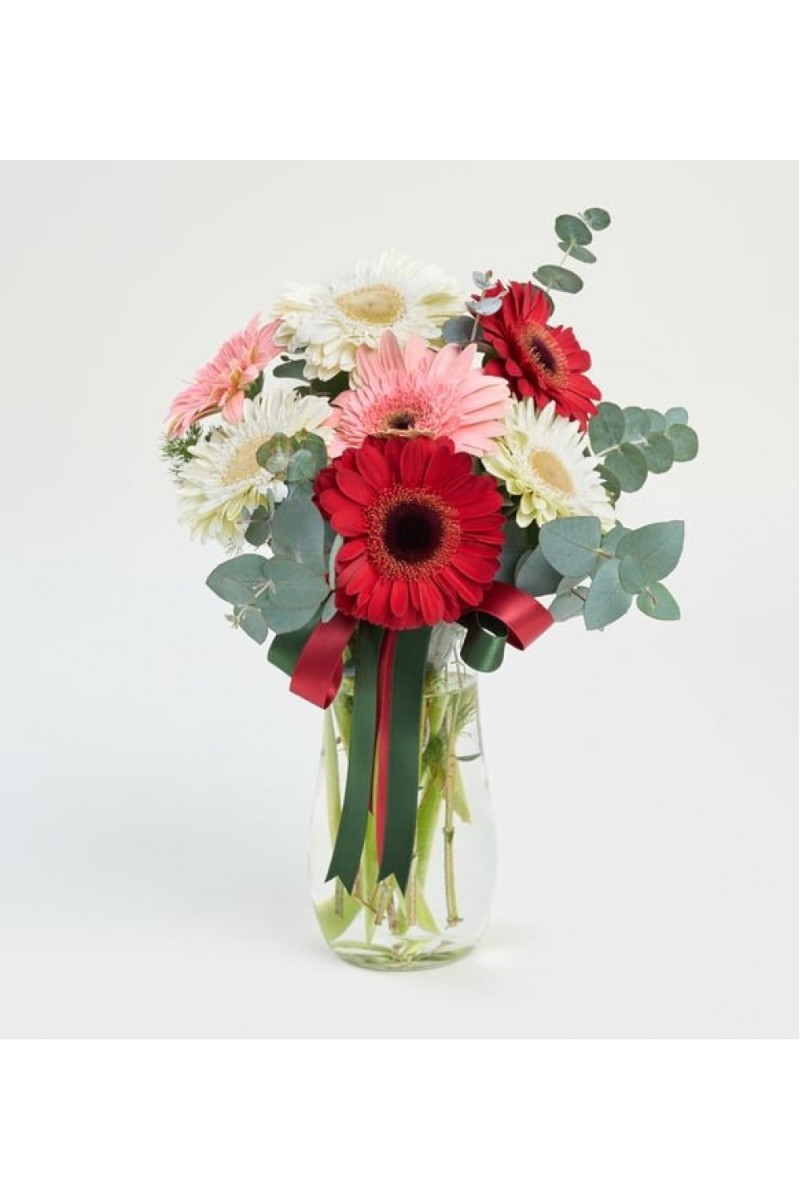 Cam Vazoda Beyaz, Kırmızı ve Pembe Gerbaralar