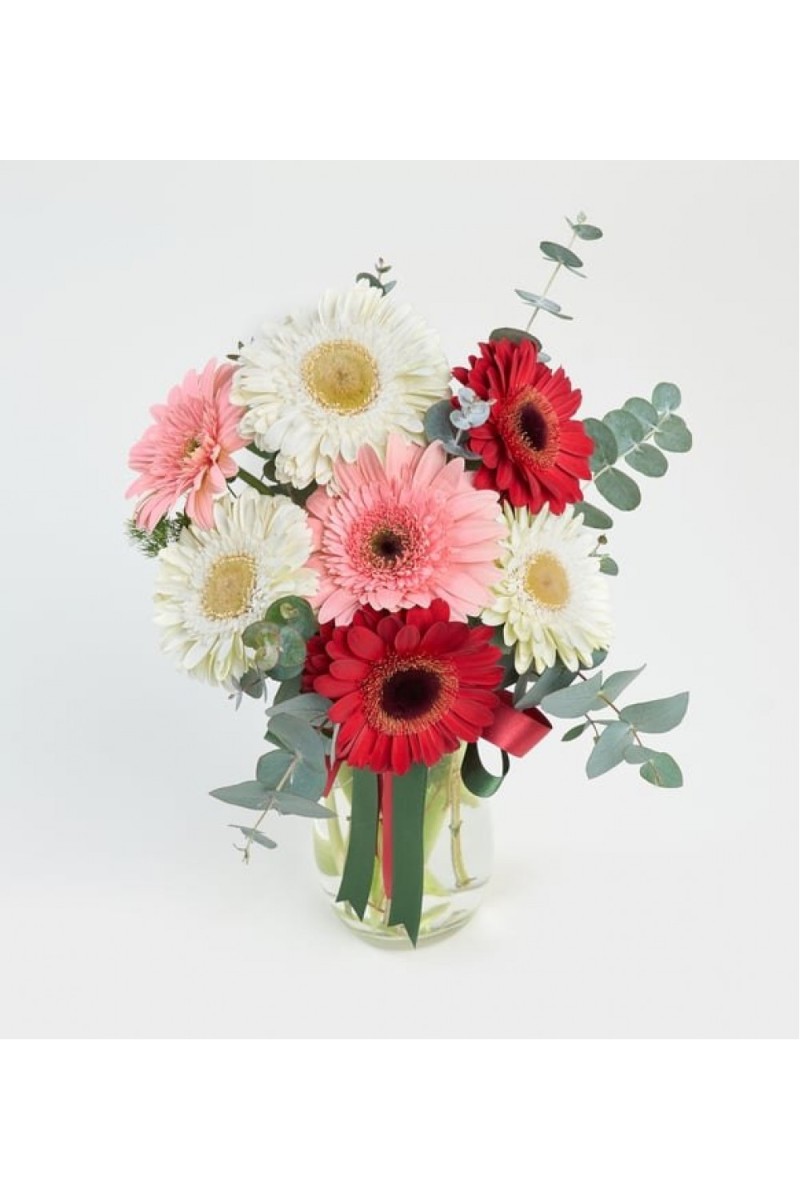 Cam Vazoda Beyaz, Kırmızı ve Pembe Gerbaralar