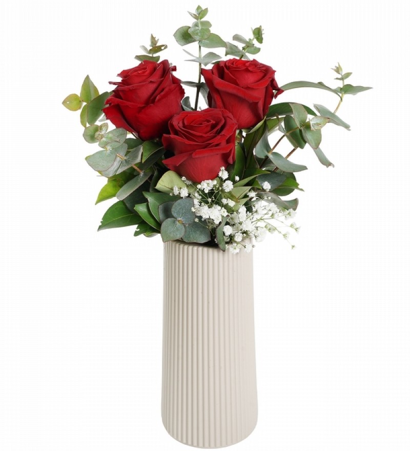 My Best Çizgili Vazoda Kırmızı Güller