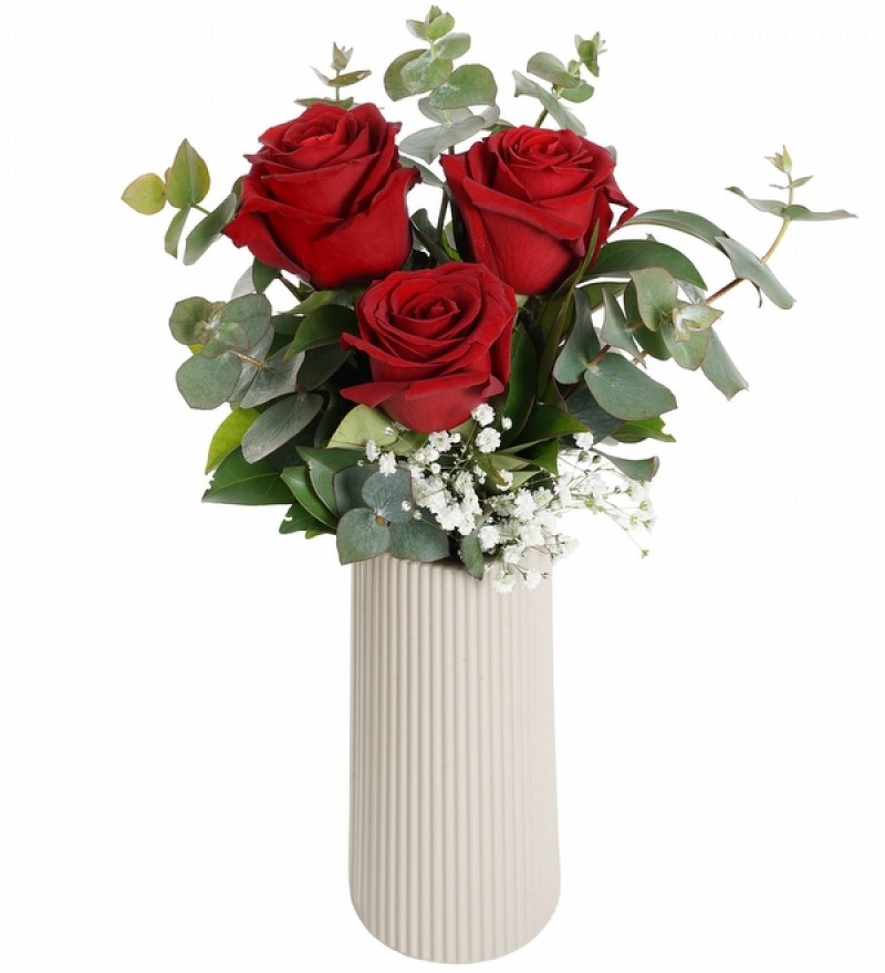 My Best Çizgili Vazoda Kırmızı Güller