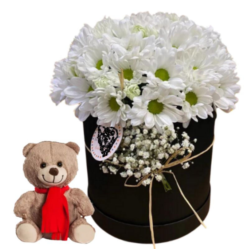 Ayıcığın Beyaz Papatyası