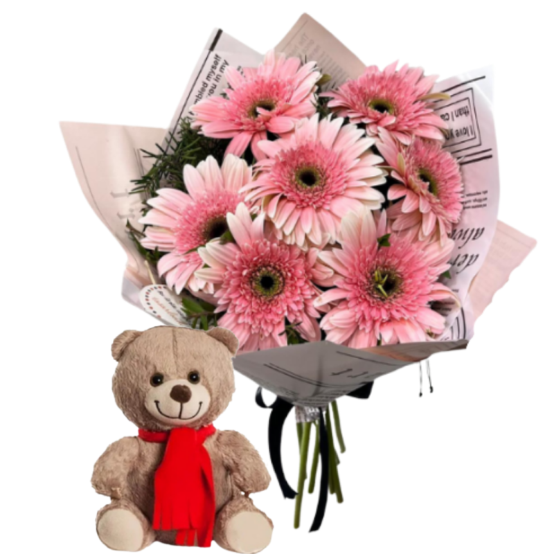 Gerberanın Peluşu(GERBERADA RENK FARKLILILLARI OLABILIR )