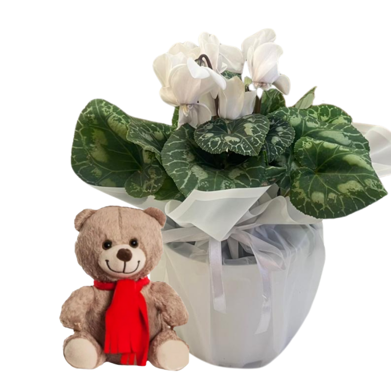 Saf Sevgi Dokunuşu(Seklemen Renk değişebilir)