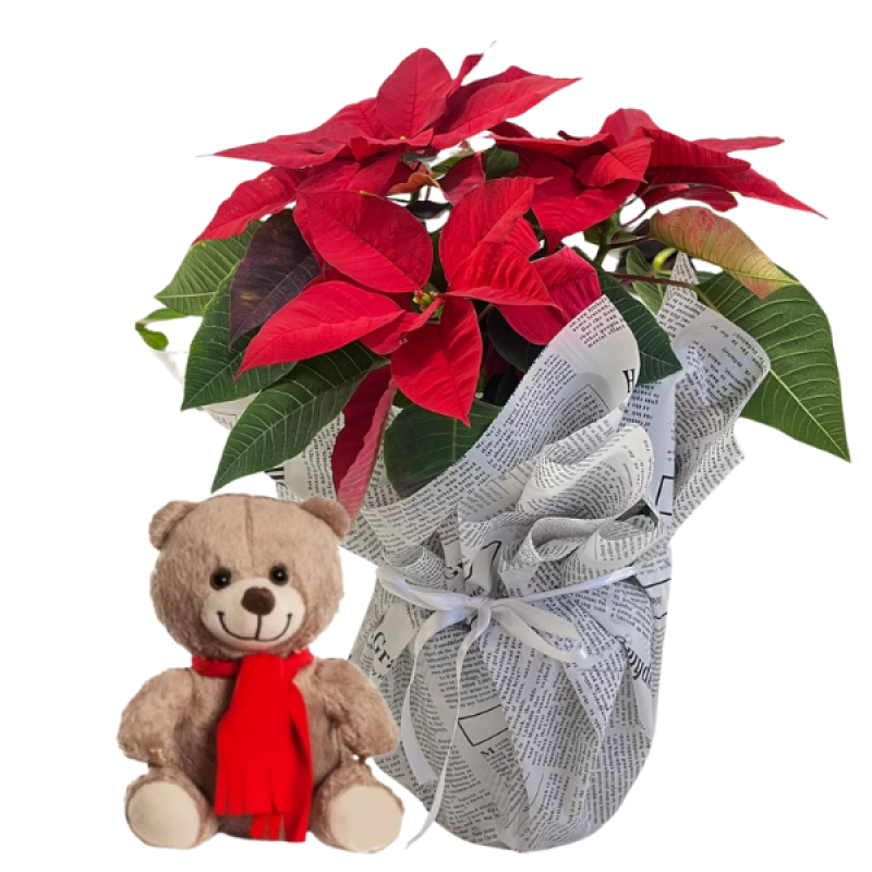 Mutlu  Tebessüm Sebebidir