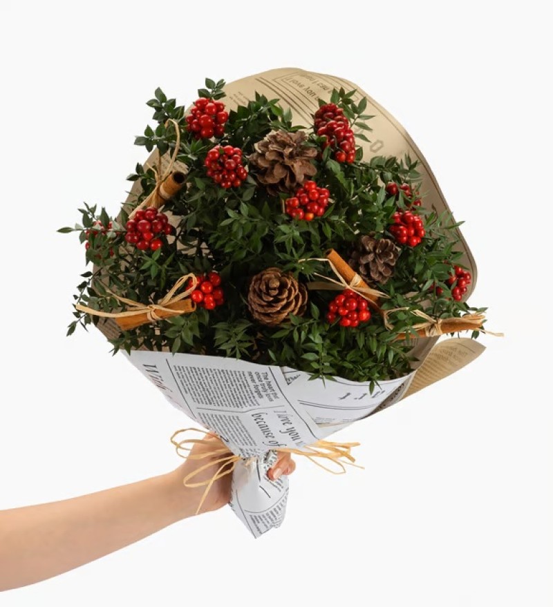  Kokina Yılbaşı Çiçeği