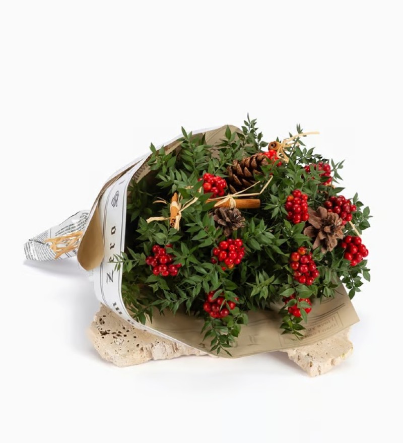  Kokina Yılbaşı Çiçeği