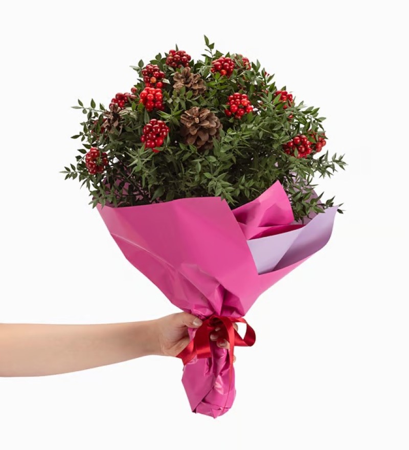 Lila Pembe Bukette Kokina ve Kozalak Tasarımı