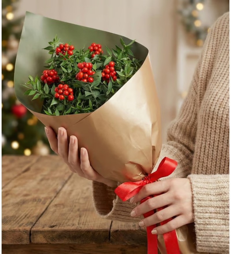 Premium Jelatinde Kokina Yılbaşı Çiçeği Buketi